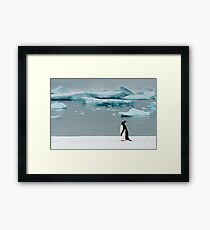 Gentoo on Ice Framed Print