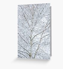 Let it Snow! Greeting Card