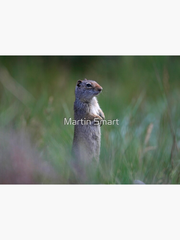 On Guard by MartinSmart