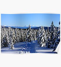 Looking from Montana into Idaho Poster