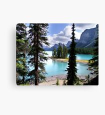 Incomparable Maligne Leinwanddruck