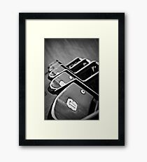 Play Ball! Framed Print