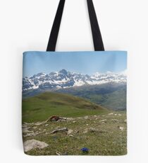 Above Panticosa Tote Bag