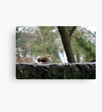 Breakfast Canvas Print