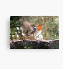 Take Off Metal Print