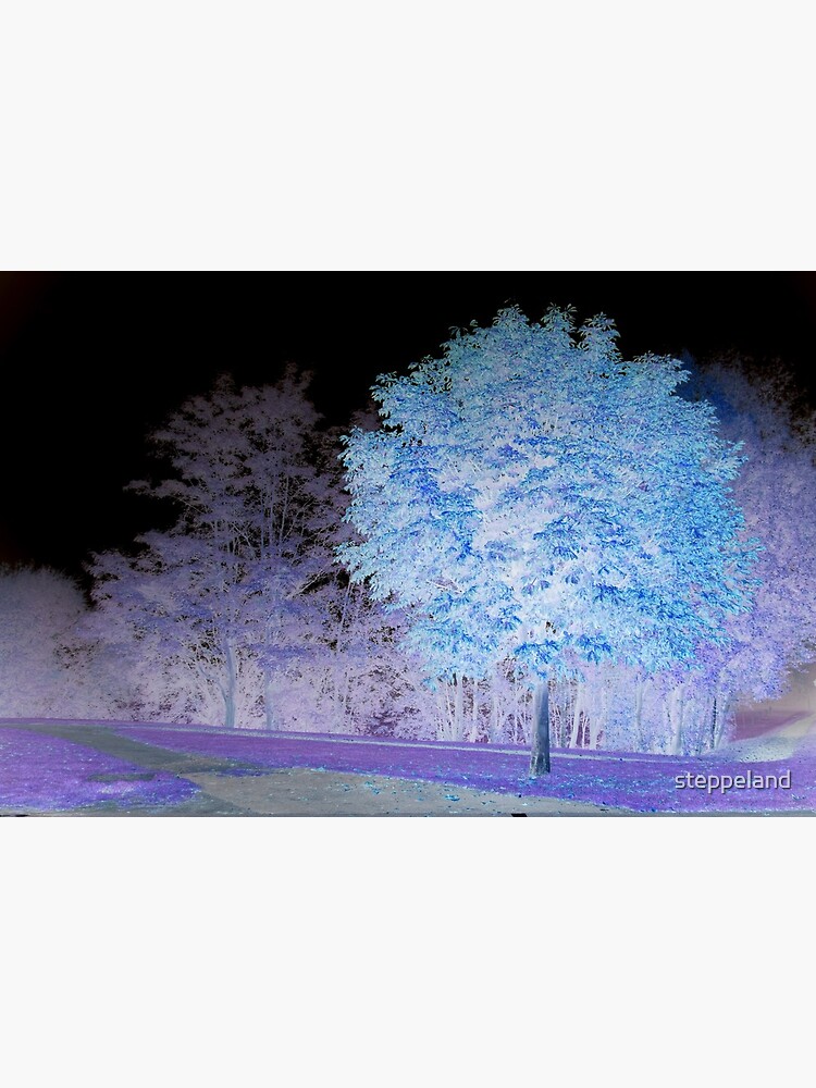 Inverted chestnut in blue-purple by steppeland