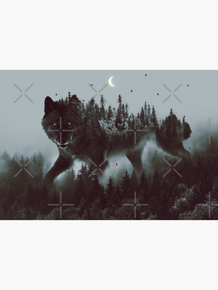 noctivagant by soaringanchor