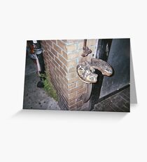 Lung ashtray Greeting Card