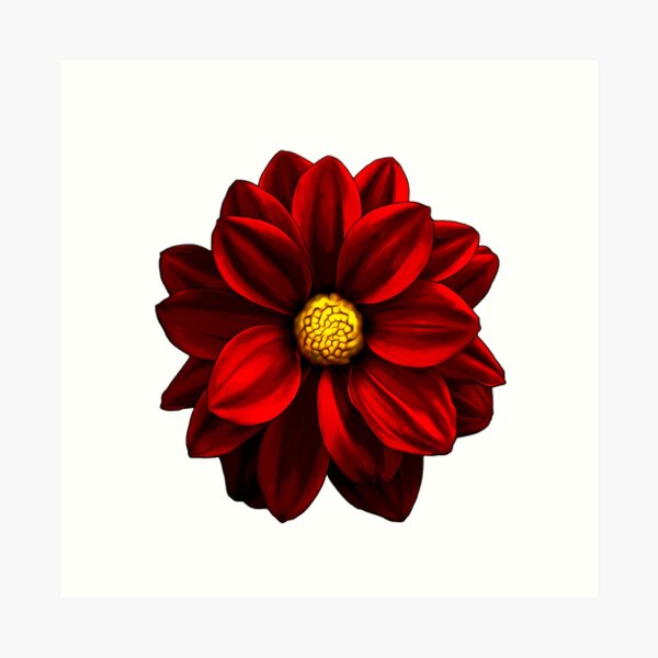 Red Petaled Garden Flower Art Print