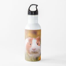 Guinea pig Water Bottle
