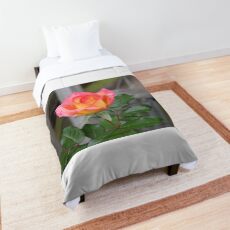 A Bit of Blush Comforter
