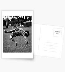 Elation Postcards