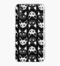 Kittens iPhone Case/Skin