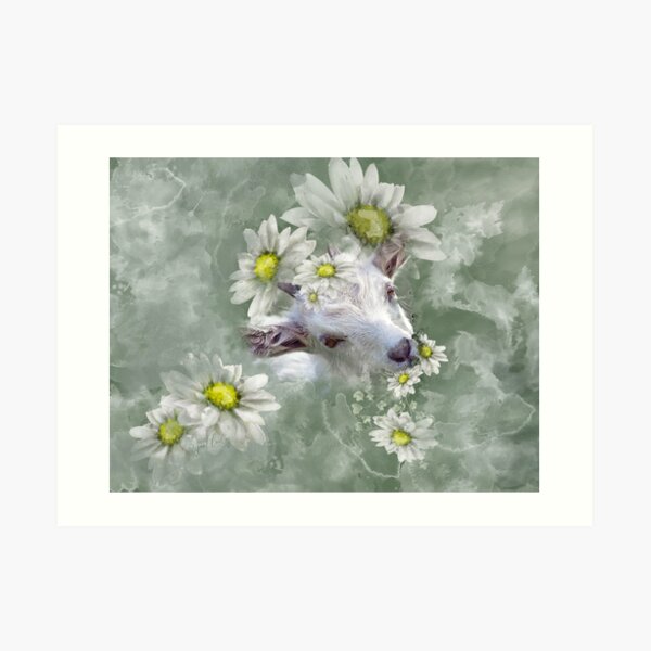 Don't Eat the Daisies Baby Goat Art Print