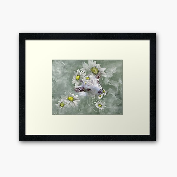 Don't Eat the Daisies Baby Goat Framed Art Print