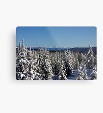 Winter wonderland in Montana Metal Print