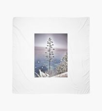 Vernazza Scarf