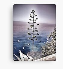 Vernazza Canvas Print