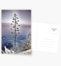 Vernazza Postcards