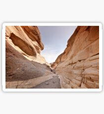 Squeeze through Mosaic Canyon Sticker