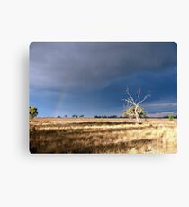 Stormy Sky Canvas Print
