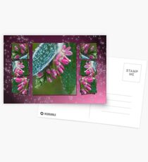 Dressed in ice crystals Postcards