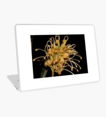 Grevillea banksii Laptop Skin