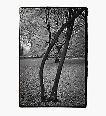 October 2011 Photographic Print