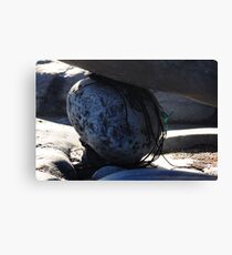 Round Stone Stuck Canvas Print