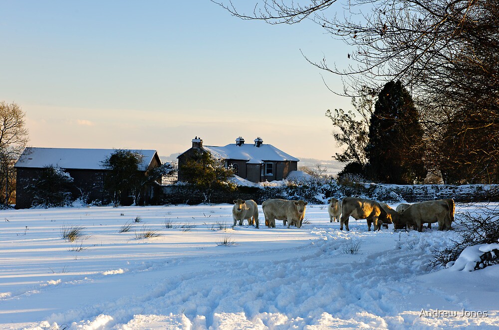 "Winter scene, The Rower, County Kilkenny, Ireland" by Andrew Jones