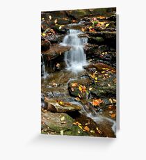 Kitchen Creek # 3 Greeting Card