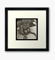Cleanse Framed Print