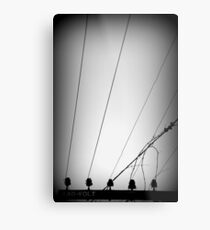 Wired Metal Print