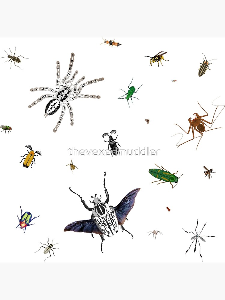 Entomologist's Dream by thevexedmuddler