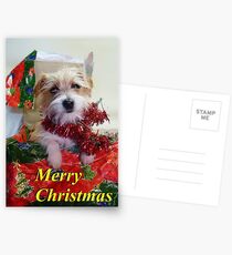 Gidget-in-a-Box Postcards