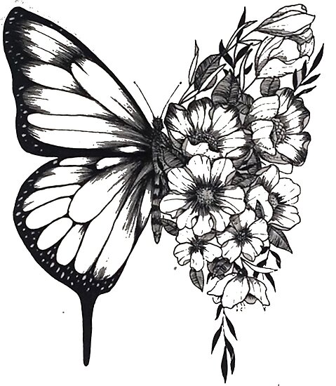 "Shawn Mendes butterfly tattoo" Photographic Print by Bealean | Redbubble