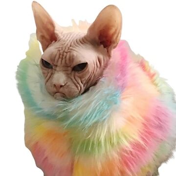 MIDDLE FINGER Sphynx Cat Clothes Cat Jacket Designer Pet 