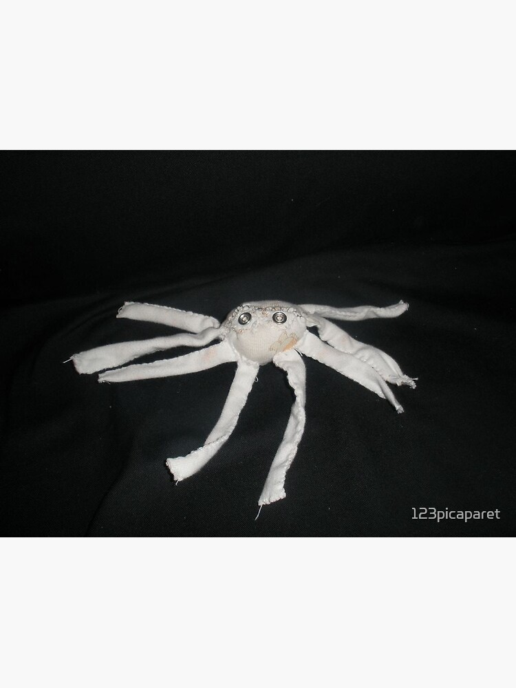 white spider by 123picaparet