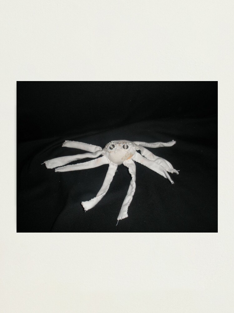 Alternate view of white spider Photographic Print