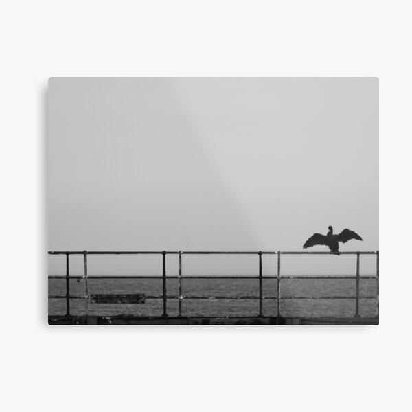 Cormorant Metal Print