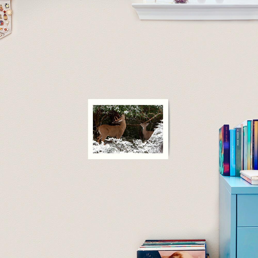 A Moment to Share Art Print