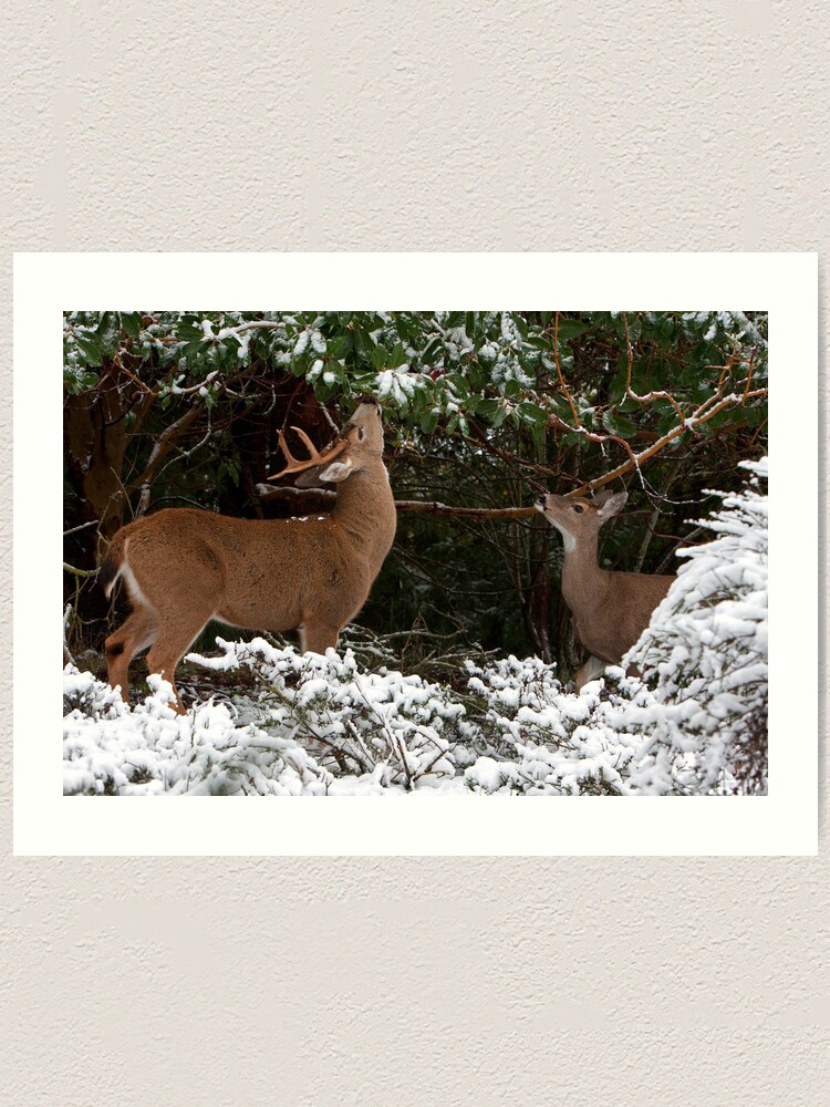 Alternate view of A Moment to Share Art Print