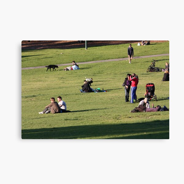 Spring, Camperdown Park, 2010 Canvas Print