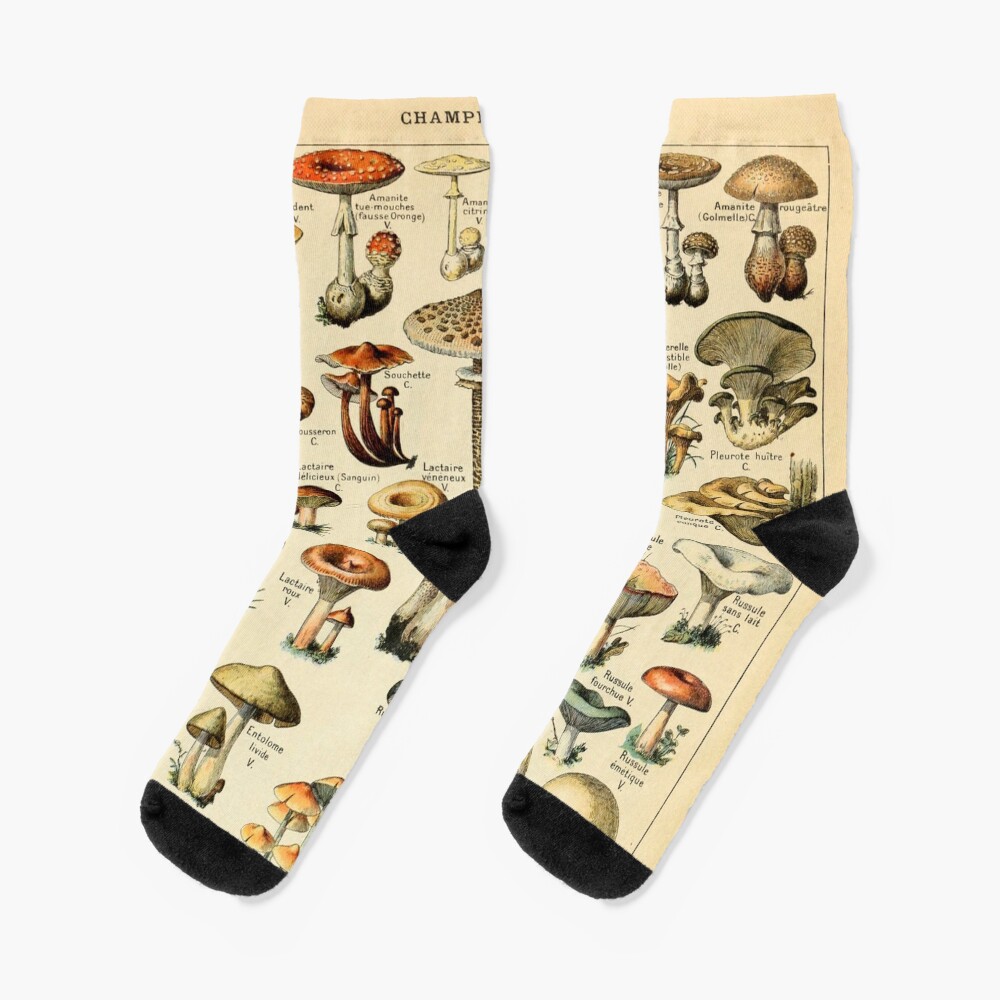 Mushrooms Socks