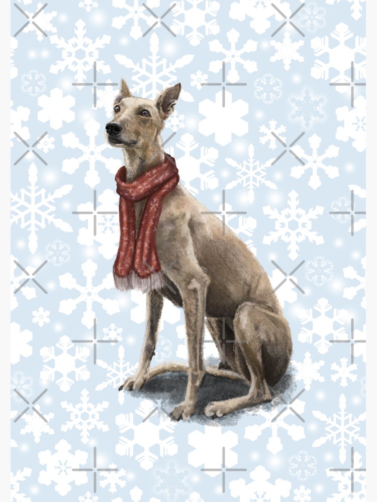 Ruby the Christmas Greyhound by elspethrose