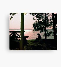 Lake Golden Canvas Print