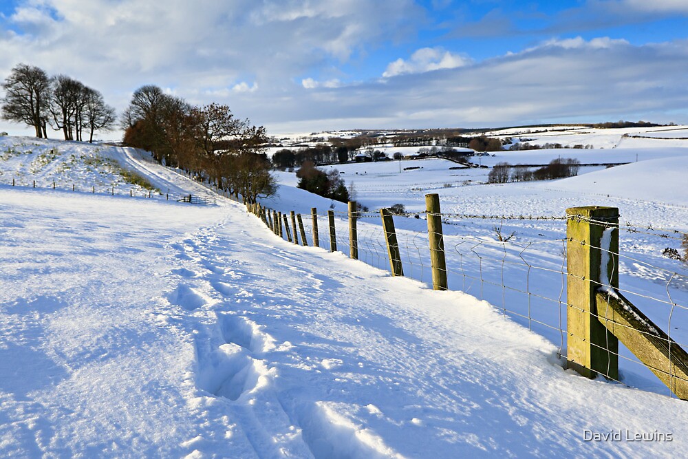 "Winter Fields County Durham. UK" by David Lewins Redbubble