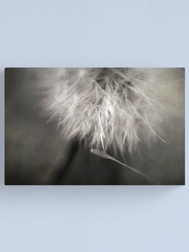 Alternate view of Separation of Love Canvas Print