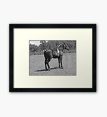Let 'Er Rip Framed Print