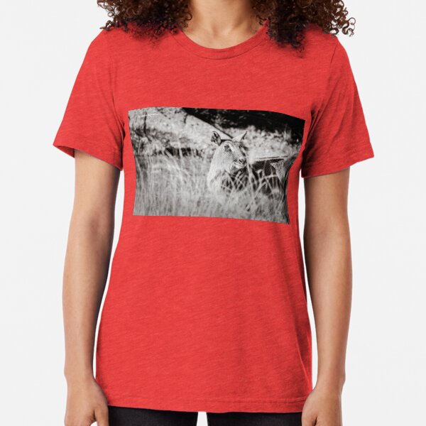 black and white portrait of an innocent doe Tri-blend T-Shirt